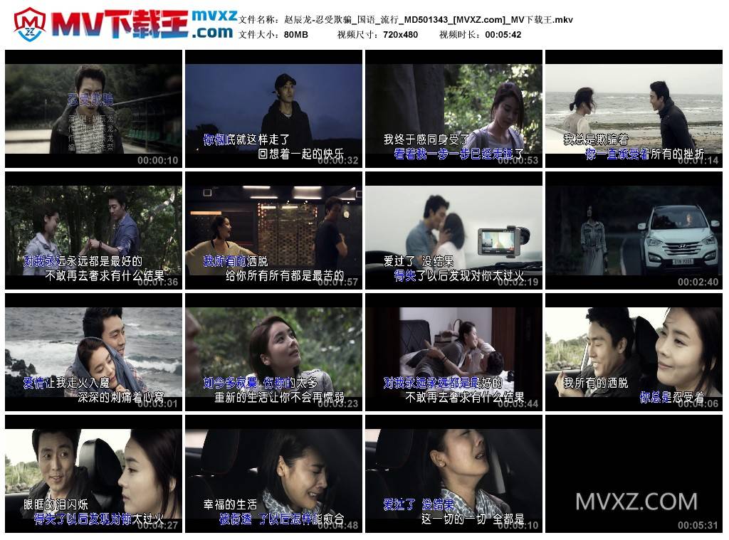 赵辰龙-忍受欺骗_国语_流行_MD501343